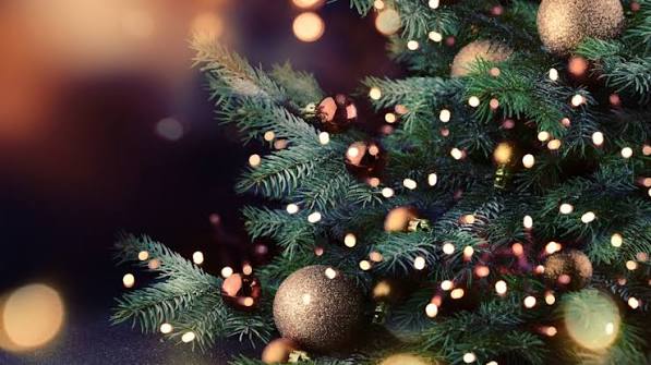 Christmas Drinks